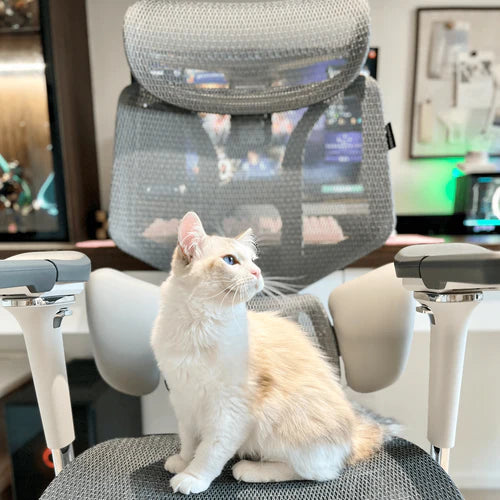 Hbada New Ergonomic Chair---E3