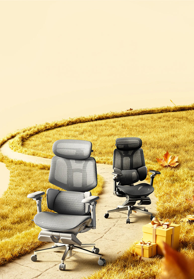 How to Choose an Ergonomic Office Chair for 12-Hour Shifts