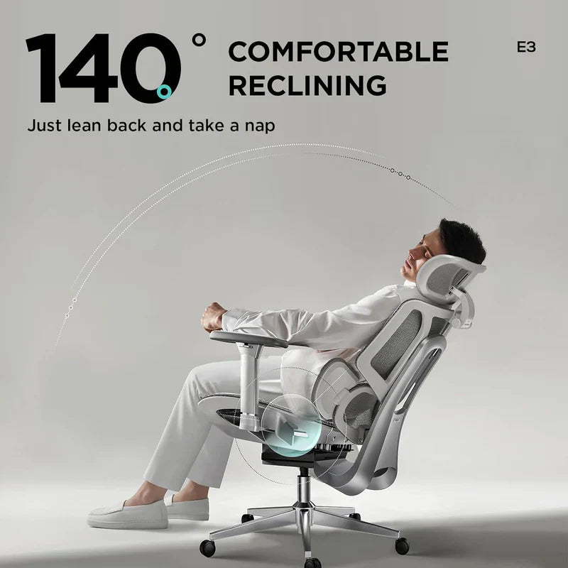 HBADA E3 Air Ergonomic Office Chair gray armrests~scene