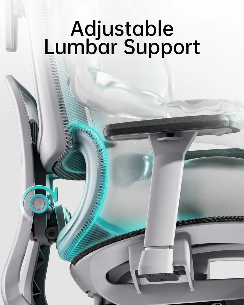 Hbada E2 Ergonomic Office Chair white lumbar support