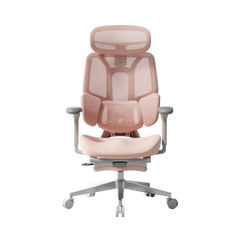 HBADA E3 Air Ergonomische Bureaustoel