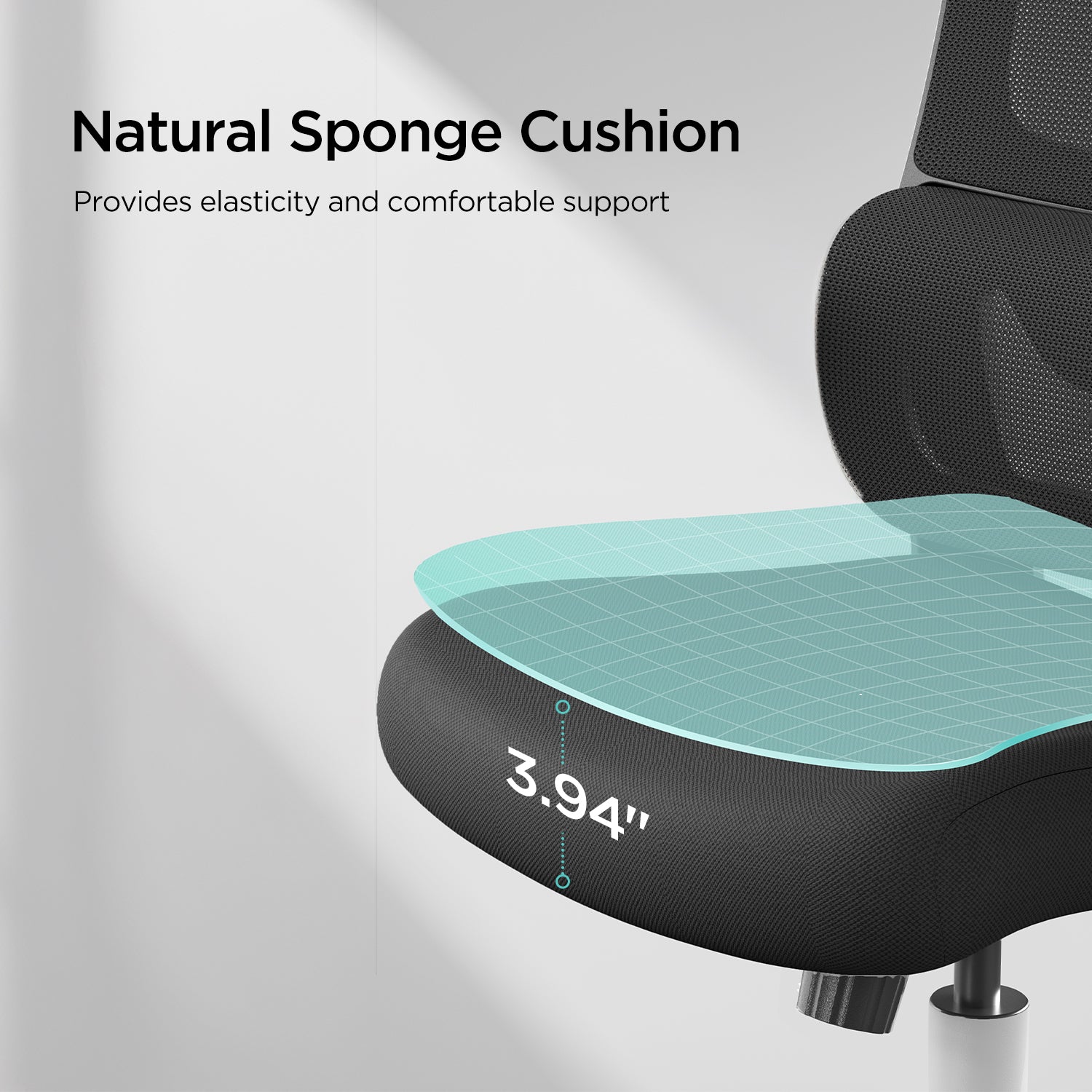 HBADA P1 Ergonomic Office Chair black seat