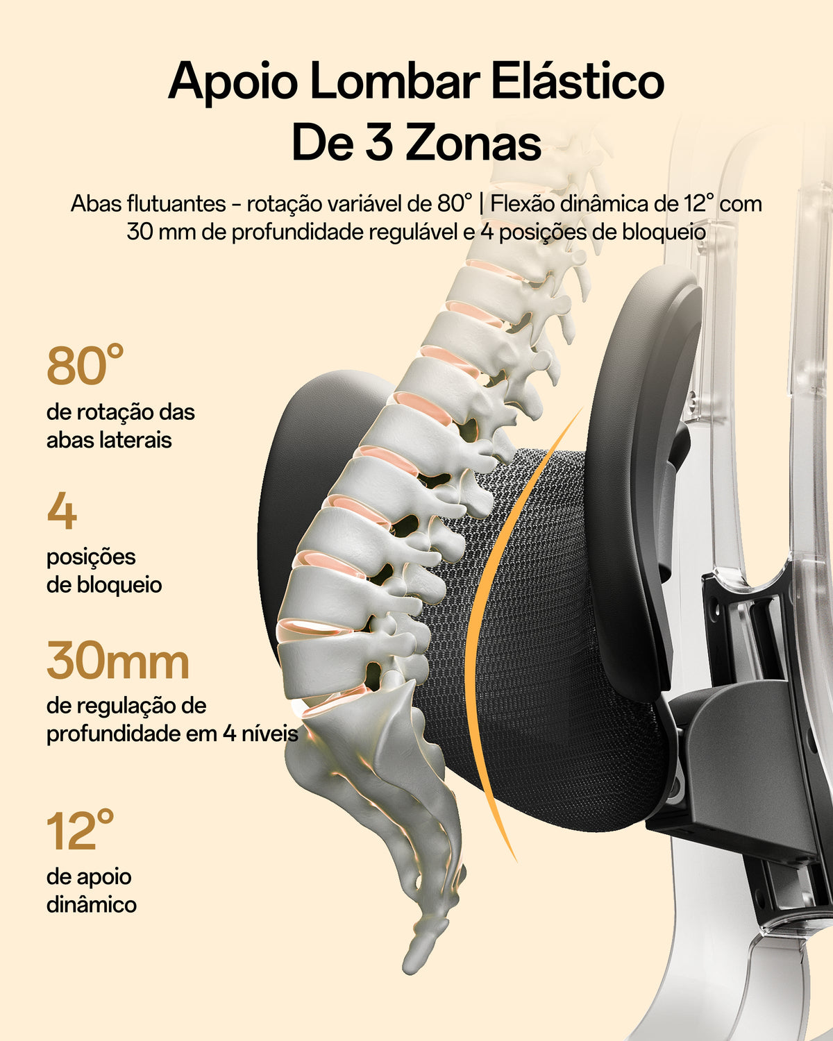 Understanding Your Lower Back Muscles: What the Erector Spinae and Quadratus Lumborum Do