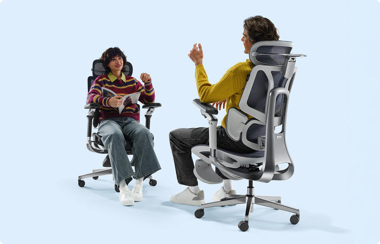 How to Choose the Best HBADA Ergonomic Office Chair in France (2026 Guide)