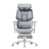 HBADA X7 Smart Ergonomic Chair Gray: AI-powered lumbar tracking for professional home offices in Europe.~0-0