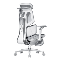 HBADA X7 Smart Gray: Big and tall ergonomic chair supporting up to 150kg with reinforced aluminum base.~0-0