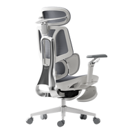 HBADA E3 Ultra Ergonomic Office Chair - HBADA EU~0
