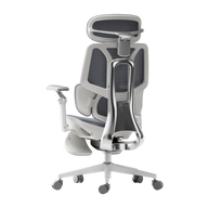 HBADA E3 Ultra Ergonomic Office Chair - HBADA EU~0