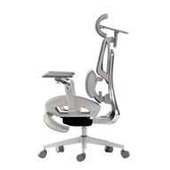HBADA E3 Ultra Ergonomic Office Chair - HBADA EU~0