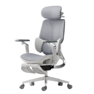 HBADA E3 Ultra Ergonomic Office Chair - HBADA EU~0