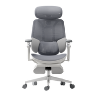 HBADA E3 Ultra Ergonomic Office Chair - HBADA EU~0