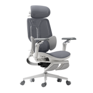 HBADA E3 Ultra Ergonomic Office Chair - HBADA EU~0