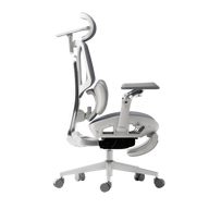 HBADA E3 Ultra Ergonomic Office Chair - HBADA EU~0