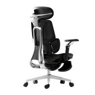 HBADA E3 Ultra Ergonomic Office Chair - HBADA EU~1