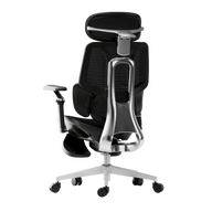 HBADA E3 Ultra Ergonomic Office Chair - HBADA EU~1