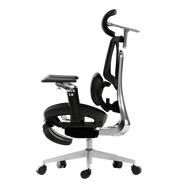 HBADA E3 Ultra Ergonomic Office Chair - HBADA EU~1