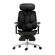 HBADA E3 Ultra Ergonomic Office Chair - HBADA EU~1