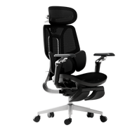 HBADA E3 Ultra Ergonomic Office Chair - HBADA EU~1