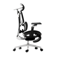 HBADA E3 Ultra Ergonomic Office Chair - HBADA EU~1