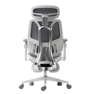 HBADA E3 Ultra Ergonomic Office Chair - HBADA EU~0
