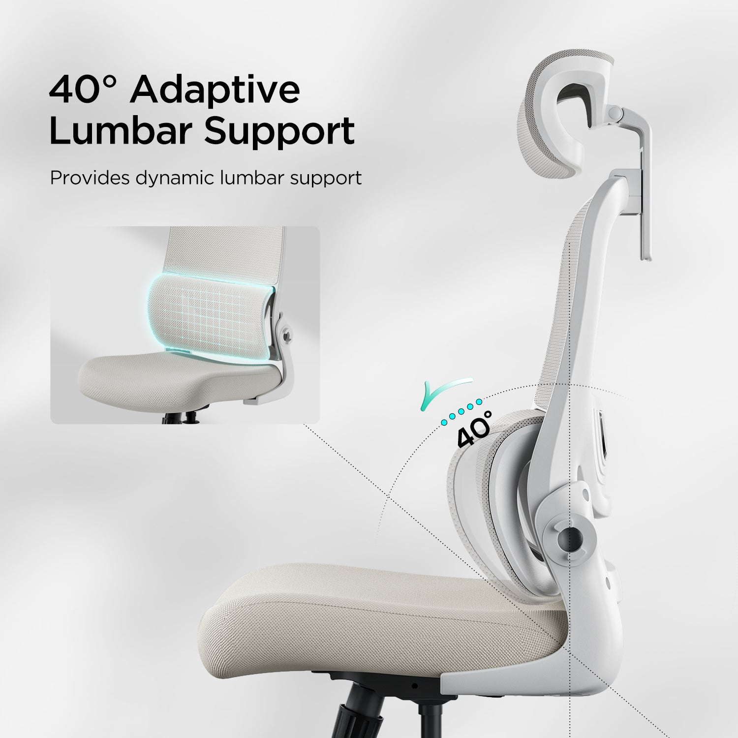 HBADA P1 Ergonomic Office Chair