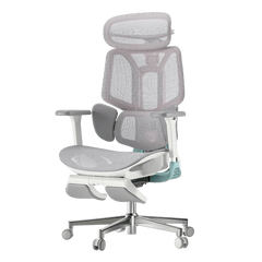 HBADA E3 Pro Ergonomic Office Chair - Pink