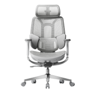 HBADA E3 Air Ergonomic Office Chairs without footrest~4-1-0