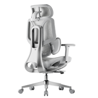 HBADA E3 Air Ergonomic Office Chairs without footrest~4-1-0
