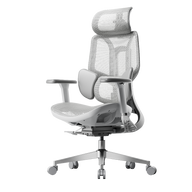 HBADA E3 Air Ergonomic Office Chairs without footrest~4-1-0