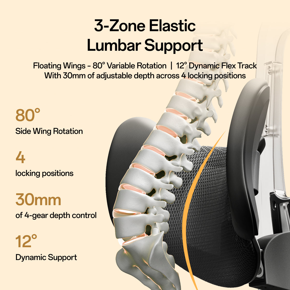 An infographic-style product detail image showing a close-up of an office chair back with a highlighted lumbar support mechanism. Text on a beige background explains '3-Zone Elastic Lumbar Support' and lists features such as 80° side wing rotation, 4 locking positions, 30mm adjustable depth, and 12° dynamic support.~scene
