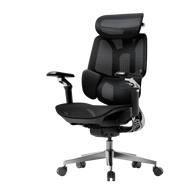 HBADA E3 Pro Ergonomic Office Chairs 2026 Edition~0-0-0