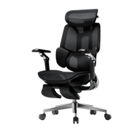 HBADA E3 Pro Ergonomic Office Chairs 2026 Edition~0-0-1