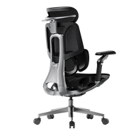 HBADA E3 Pro Ergonomic Office Chairs 2026 Edition~0-0-0