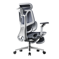HBADA E3 Pro Ergonomic Office Chairs 2026 Edition~0-1-1