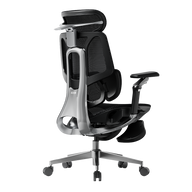 HBADA E3 Pro Ergonomic Office Chairs 2026 Edition~0-0-1