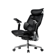 HBADA E3 Pro Ergonomic Office Chairs 2026 Edition~0-0-0