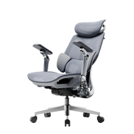 HBADA E3 Pro Ergonomic Office Chairs 2026 Edition~0-1-0