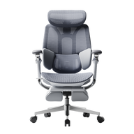 HBADA E3 Pro Ergonomic Office Chairs 2026 Edition~0-1-1