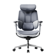 HBADA E3 Pro Ergonomic Office Chairs 2026 Edition~0-1-0