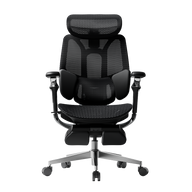 HBADA E3 Pro Ergonomic Office Chairs 4.0~0-0-1