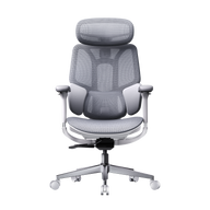 HBADA E3 Air 2026 Edition grey ergonomic office chair with dynamic lumbar support for EU professionals.~0-0