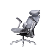 HBADA E3 Air grey 135-degree recline for home office productivity and spinal pressure relief.~0-0