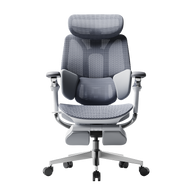 HBADA E3 Pro 2026 Edition grey ergonomic office chair with IGR-certified 3-zone lumbar support.~0-0