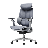 HBADA E3 Pro grey ergonomic office chair with IGR-certified 3-zone lumbar support for EU professionals.~0-1