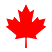 Red maple leaf on a white background