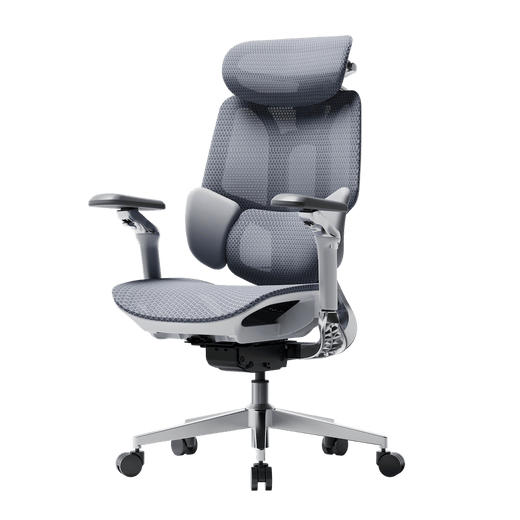 ergonomic chair where to buy