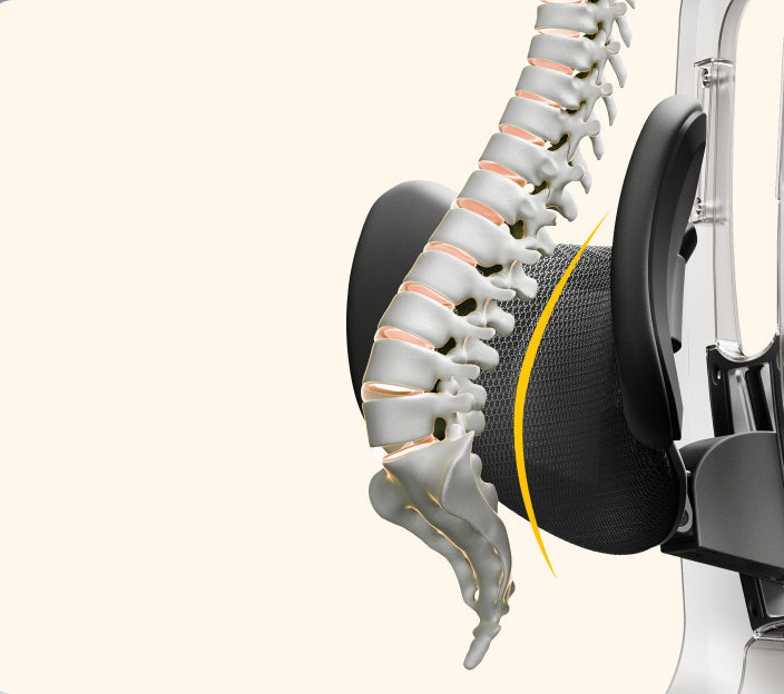 3-Zone Lumbar