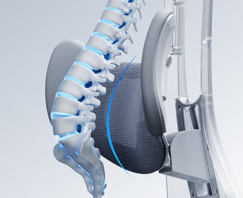 Spine Support, Supports The Natural Curve Of Your Lower Back