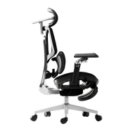 HBADA E3 Ultra Ergonomic Office Chairs 2026 Edition~2-0-1