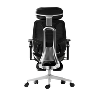 HBADA E3 Ultra Ergonomic Office Chairs 2026 Edition~2-0-1
